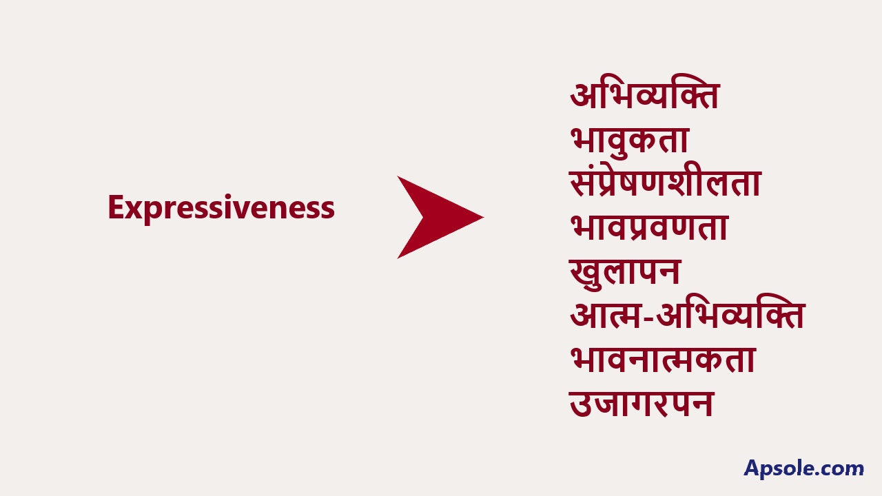 What is Expressiveness in hindi, Expressiveness meaning in hindi
